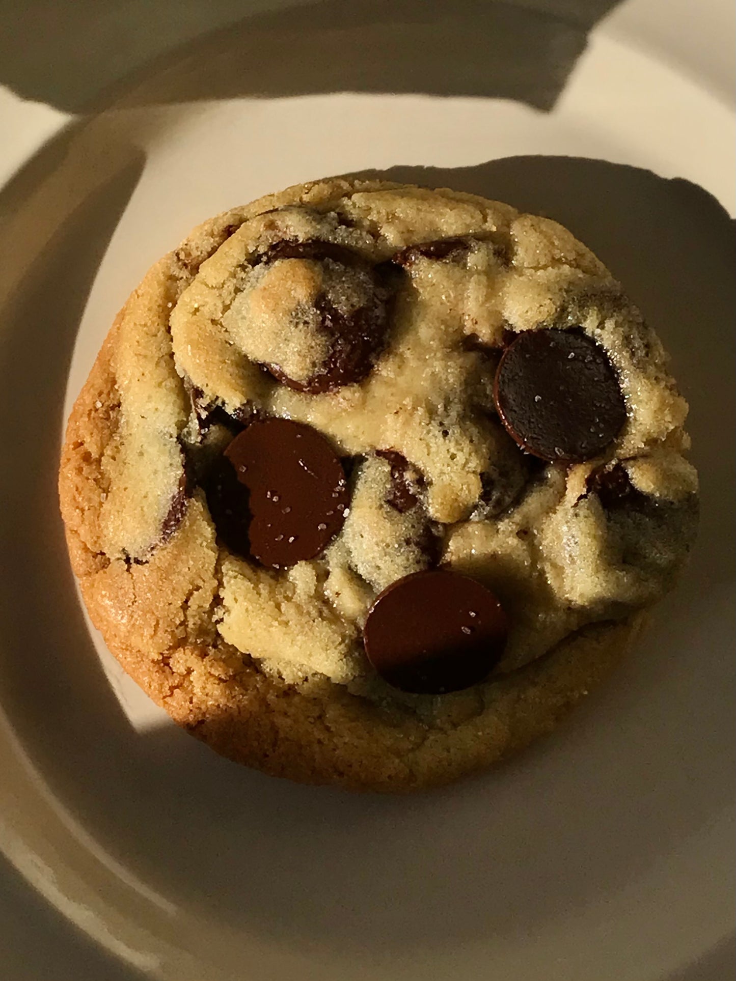 Cookies | Individual | XL